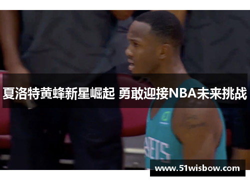 夏洛特黄蜂新星崛起 勇敢迎接NBA未来挑战